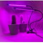 Led лампа Wi-Grain для прискорення росту рослин  — ефективне підсвічування 