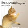 Лазерний нашийник для котів лазерна указкаТ-883, 2 режими роботи