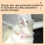 Лазерний нашийник для котів лазерна указкаТ-883, 2 режими роботи