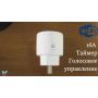 Wi-Fi розетка Wi Plug смарт 16А